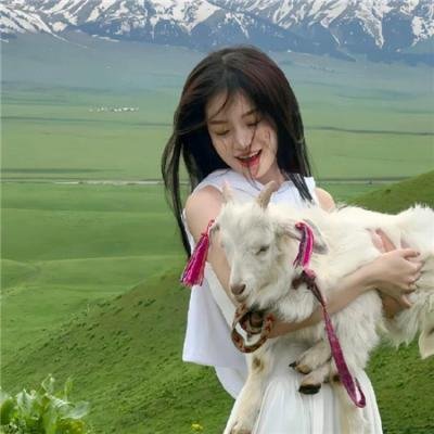 熊出没之丛林总动员